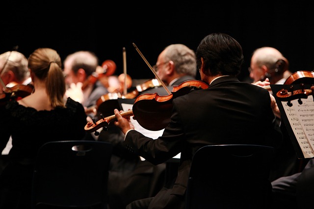 Symphony orchestra image